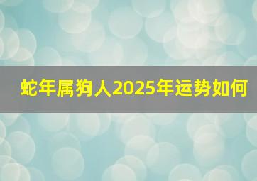 蛇年属狗人2025年运势如何