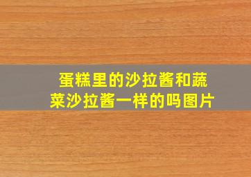 蛋糕里的沙拉酱和蔬菜沙拉酱一样的吗图片