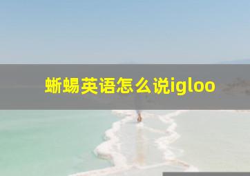 蜥蜴英语怎么说igloo