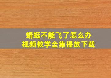 蜻蜓不能飞了怎么办视频教学全集播放下载