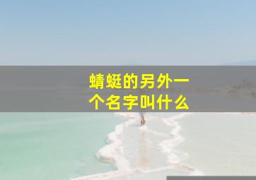 蜻蜓的另外一个名字叫什么