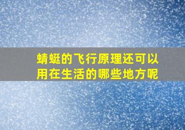 蜻蜓的飞行原理还可以用在生活的哪些地方呢