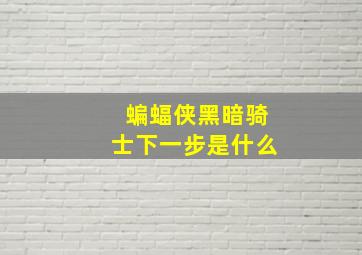 蝙蝠侠黑暗骑士下一步是什么