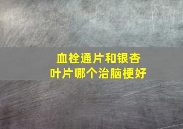 血栓通片和银杏叶片哪个治脑梗好