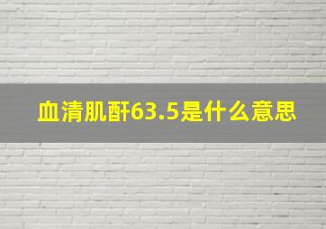 血清肌酐63.5是什么意思