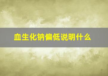 血生化钠偏低说明什么