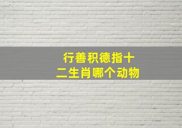 行善积德指十二生肖哪个动物