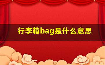 行李箱bag是什么意思