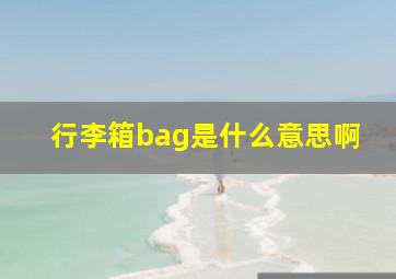 行李箱bag是什么意思啊