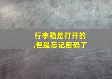 行李箱是打开的,但是忘记密码了