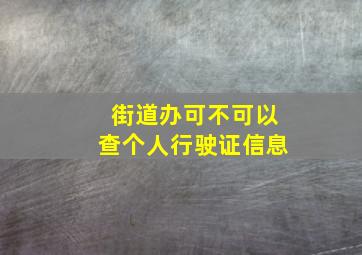 街道办可不可以查个人行驶证信息