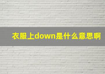 衣服上down是什么意思啊