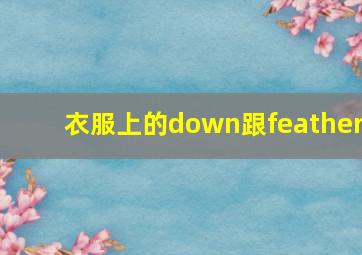 衣服上的down跟feather