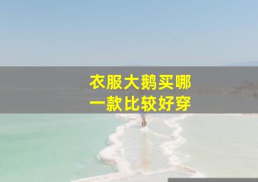 衣服大鹅买哪一款比较好穿