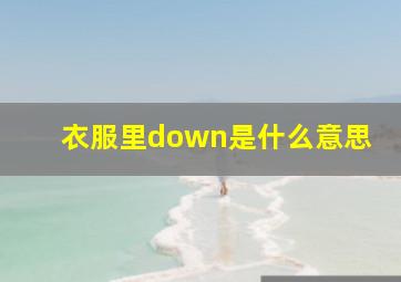 衣服里down是什么意思