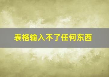 表格输入不了任何东西