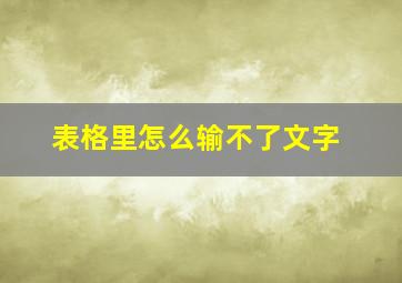 表格里怎么输不了文字