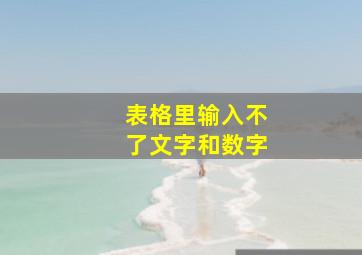 表格里输入不了文字和数字