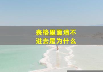 表格里面填不进去是为什么