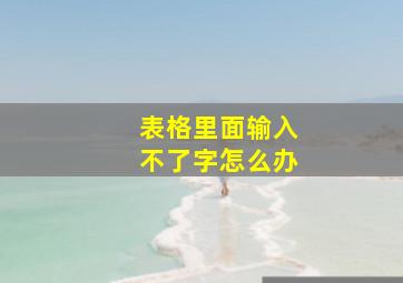 表格里面输入不了字怎么办