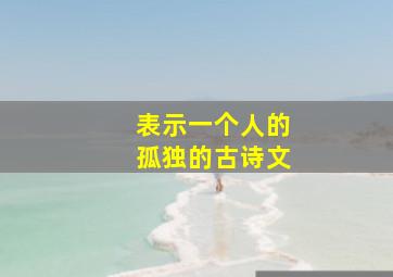 表示一个人的孤独的古诗文