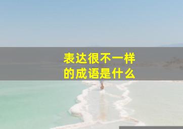 表达很不一样的成语是什么