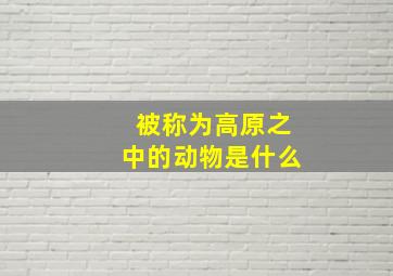 被称为高原之中的动物是什么