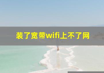 装了宽带wifi上不了网