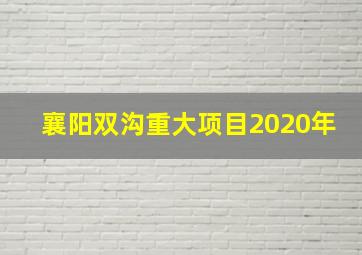 襄阳双沟重大项目2020年