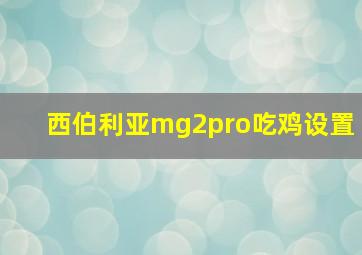 西伯利亚mg2pro吃鸡设置