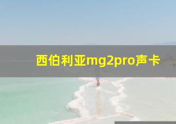 西伯利亚mg2pro声卡