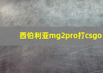 西伯利亚mg2pro打csgo