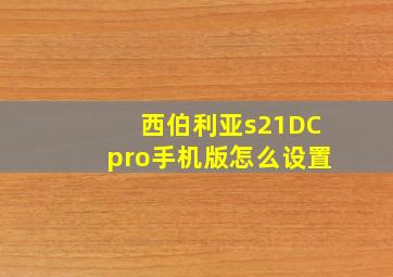 西伯利亚s21DCpro手机版怎么设置