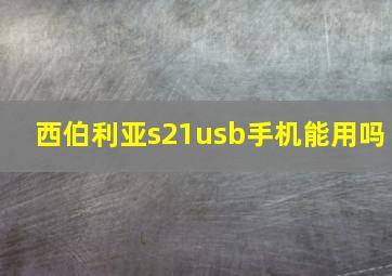 西伯利亚s21usb手机能用吗