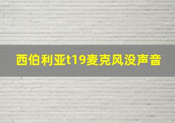 西伯利亚t19麦克风没声音