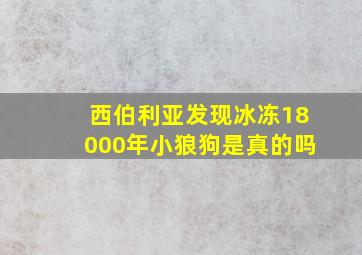 西伯利亚发现冰冻18000年小狼狗是真的吗