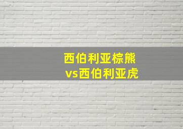 西伯利亚棕熊vs西伯利亚虎