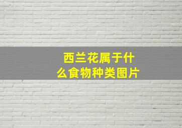 西兰花属于什么食物种类图片