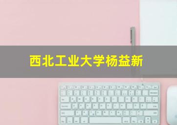 西北工业大学杨益新