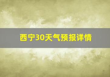 西宁30天气预报详情