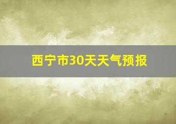 西宁市30天天气预报