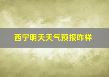 西宁明天天气预报咋样