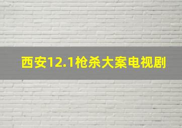 西安12.1枪杀大案电视剧