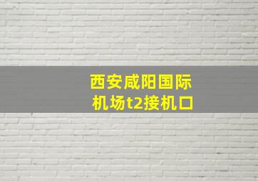 西安咸阳国际机场t2接机口