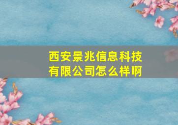 西安景兆信息科技有限公司怎么样啊