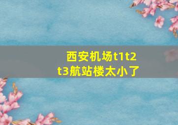 西安机场t1t2t3航站楼太小了