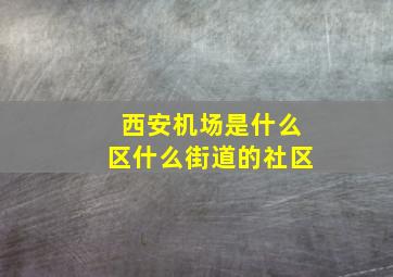 西安机场是什么区什么街道的社区