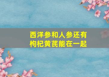 西洋参和人参还有枸杞黄芪能在一起