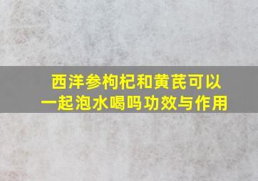 西洋参枸杞和黄芪可以一起泡水喝吗功效与作用