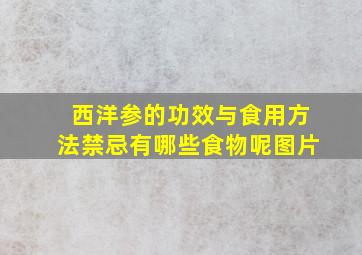 西洋参的功效与食用方法禁忌有哪些食物呢图片